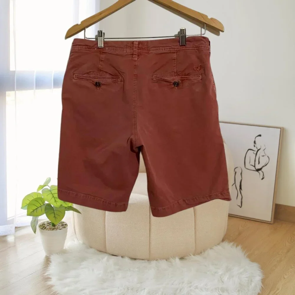 2 for $20 American Eagle Extreme Flex Mens Shorts Size 30 Stretch Comfort Casual - Picture 4 of 16